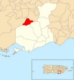 Location of Carmen within the municipality of Guayama shown in red