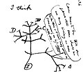 Image 37Charles Darwin's first sketch of an evolutionary tree from his First Notebook on Transmutation of Species (1837) (from History of biology)