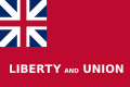 Tauton flag