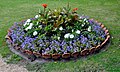 Flower bed with Canna near Lions Fountain