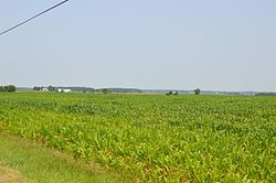 Cornfield in the township's southeast