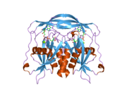 2dsc: Crystal structure of human ADP-ribose pyrophosphatase NUDT5 in complex with magnesium and ADP-ribose