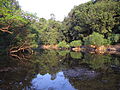 Panthrandam Chall Bird Sanctuary