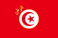 突尼斯总统旗