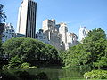 The hotel as seen from Central Park overlooking the Pond