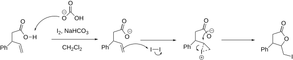 Iodolactonization