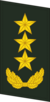 上将