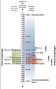 Pythagorean tuning