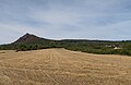 between Jenčice and Čížkovice, panorama