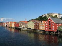 View of the neighborhood and the river Nidelva