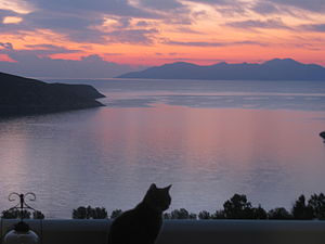 希腊诗人荷马在奥德赛中写道"早晨的孩子，玫瑰指尖的黎明"。希腊塞里福斯的日出。