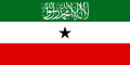 索馬利蘭國旗上的「阿拉」