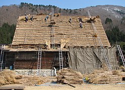 Repairing thatch, Gassho-zukuri farmhouse, Japan
