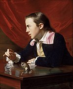 John Singleton Copley - A Boy with a Flying Squirrel (Henry Pelham) - Google Art Project