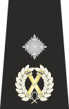 Metropolitan Police Deputy Assistant Commissioner of the Metropolis epaulette