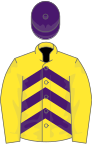 Yellow and purple chevrons, yellow sleeves, purple cap