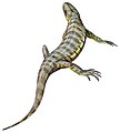 Casineria, an amniote-like reptiliomorph