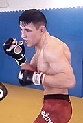 Danish MMA fighter Damir Hadžović