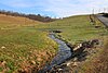 Davis Hollow looking upstream