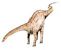 A modern depiction of Diplodocus