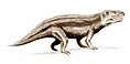 Erythrosuchus