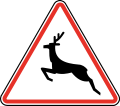 116 Wild animals crossing