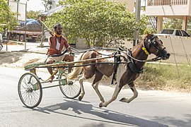 Rekla Racer in Namakkal, Tamil Nadu