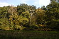 Looking east across a water meadow, from Slockett's Copse to High Wood.