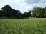 The lawn, Anderson Park, (2006)
