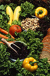 Fruits and vegetables are good sources of antioxidants