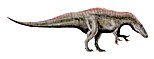 Life restoration of Acrocanthosaurus