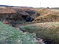 Boreraig Burn by Boreraig, a crofting town NW of Dunvegan on Skye (2008). Image shows the rough quality of land used for cattle grazing.