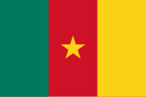 Flag of Cameroon