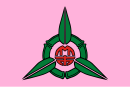 新竹市市旗