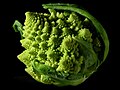 Fractal broccoli