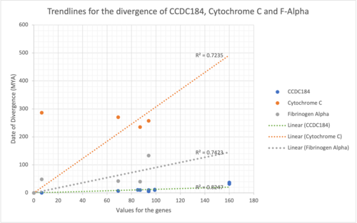 Evolution divergence graph for CCDC184 and comparing it to other genes