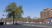 A wide street blocked off by white guardrails with a large tree at the left in front of it and part of a brick building on the right in the rear. At the extreme left is an intersection with traffic lights