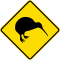 Watch for animals (kiwi)