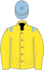 Yellow, light blue epaulettes, yellow sleeves, light blue cap
