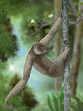 Life restoration of Palaeopropithecus ingens