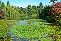 VanDusen Botanical Garden