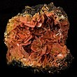 A rich jumble of tabular, reddish-brown wulfenite crystals fills the vug in the geode-like gossan matrix on this specimen