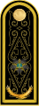 Контр-адмирал Kontr-admïral (Kazakh Naval Forces)[28]