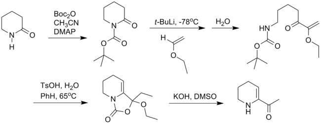 6-乙酰基-1,2,3,4-四氫吡啶合成