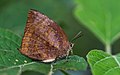 In Kerala, India