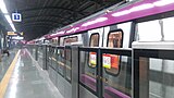 Half-height automatic platform doors in Okhla Bird Sanctuary Station of the Delhi Metro's Magenta Line.