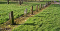 A row of sleepers near the site of the station in 2007.