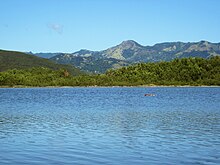 view of a forested shoreline with mountains in the background.