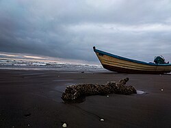 The beach at Fereydunkenar is available to traditional fishermen