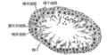 2019年6月18日 (二) 14:08版本的缩略图